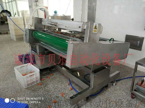山東貝爾品牌休閑食品真空包裝機(jī)械，廠家直銷引領(lǐng)品質(zhì)潮流